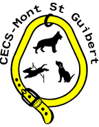 Logo CECS